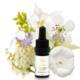 Sacred Heart Anointing Oil