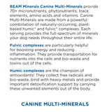BEAM Minerals Advanced Canine Mineral and Electrolyte Replenishment Set