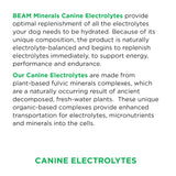 BEAM Minerals Advanced Canine Mineral and Electrolyte Replenishment Set