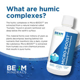 BEAM Minerals - Microboost